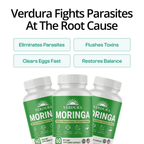 Verdura Moringa | Flush Out Hidden Parasites in Just 14 Days