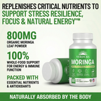 Verdura Moringa – Naturally Lowers Cortisol To Help Restore Balance Inside and Out